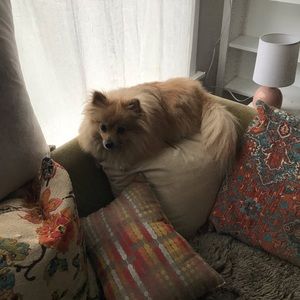 Meet your Posher, Ruby